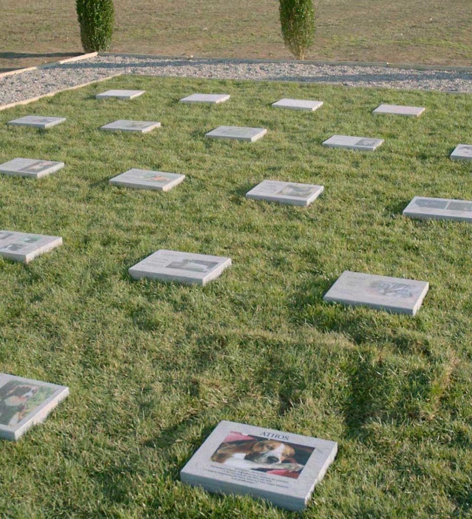 cimitero animali